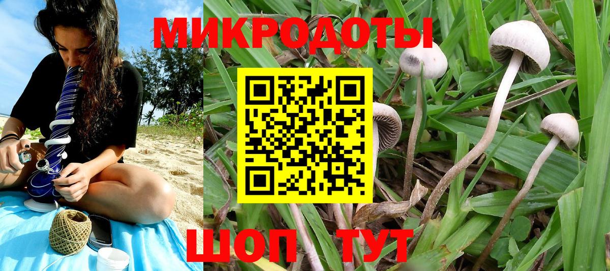 Кореновск  Псилоцибиновые грибы MAGIC MUSHROOMS  Вход с VPN 