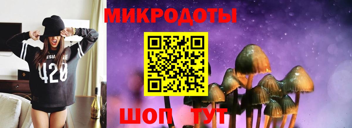 Псилоцибиновые грибы Psilocybine cubensis Кореновск